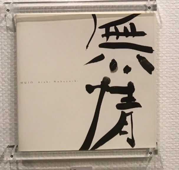 无情